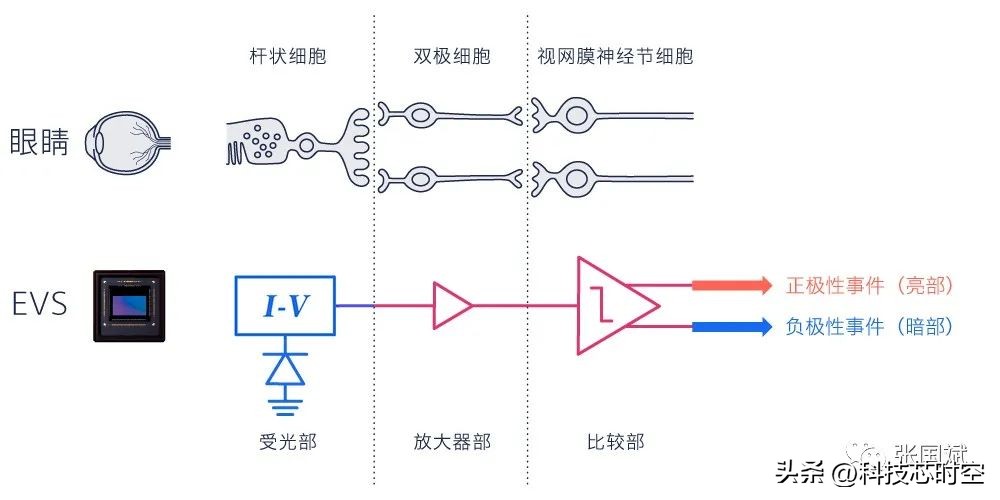 重磅！本土厂商发布领先全球的融合EVS和CIS的新型视觉传感器