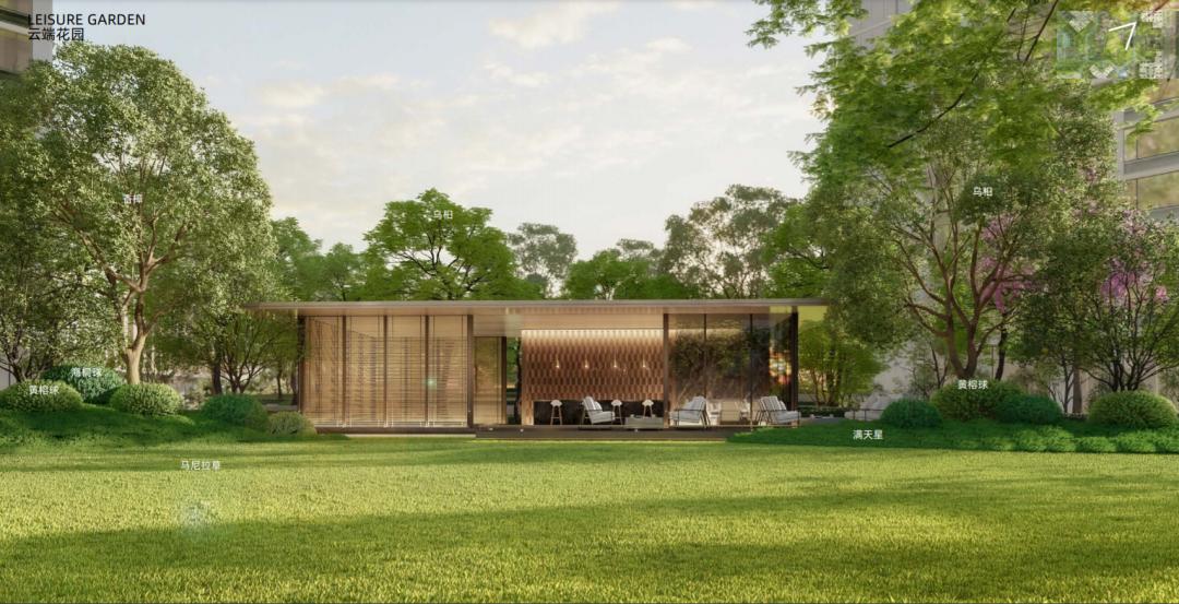 深圳前海跨越式发展,深圳前海潜力与挑战分析