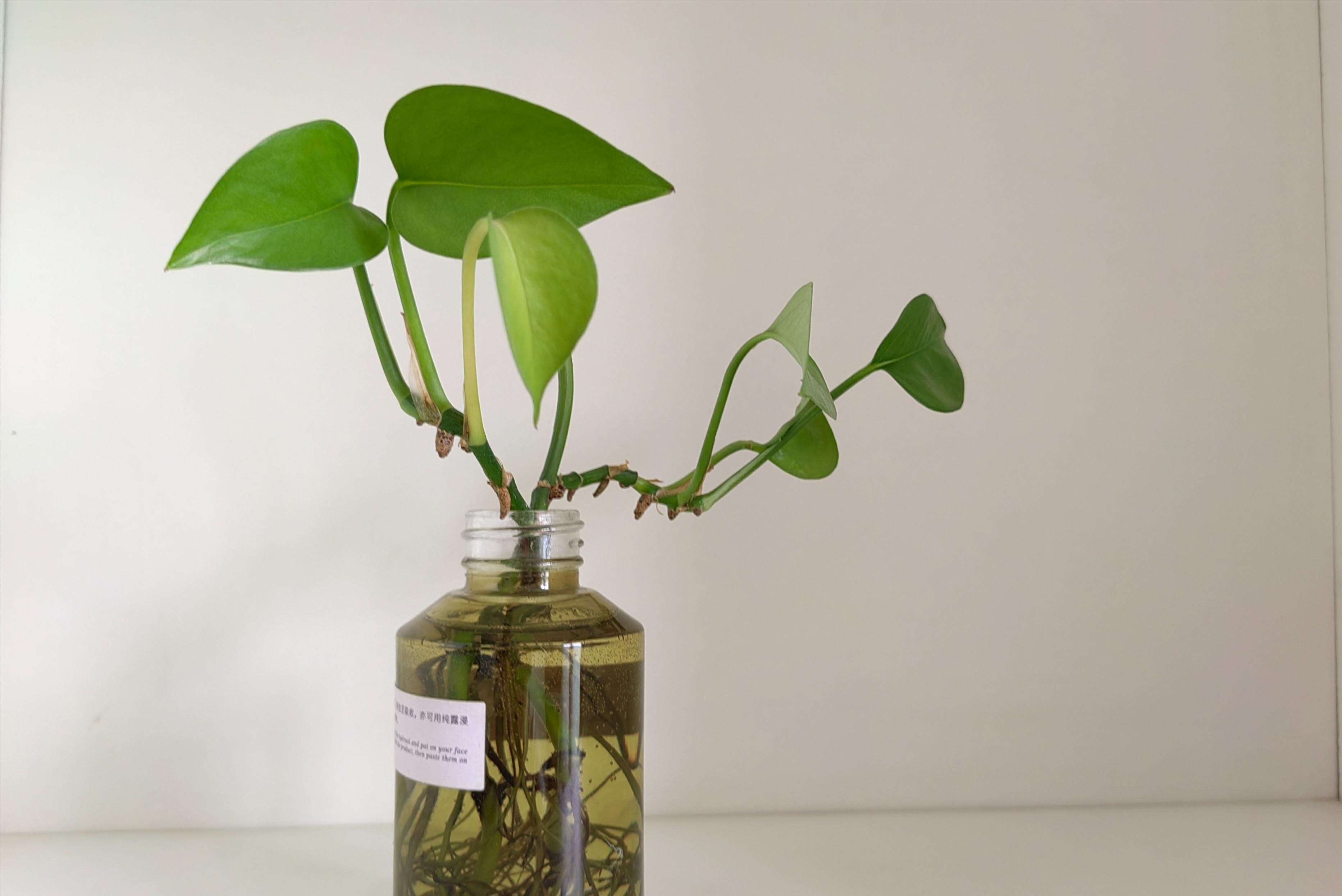 精简生活用品,精简生活衣物断舍离