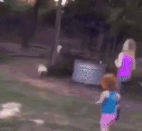 猪肉不香怎么回事啊,猪肉不香特别腥是有问题吗