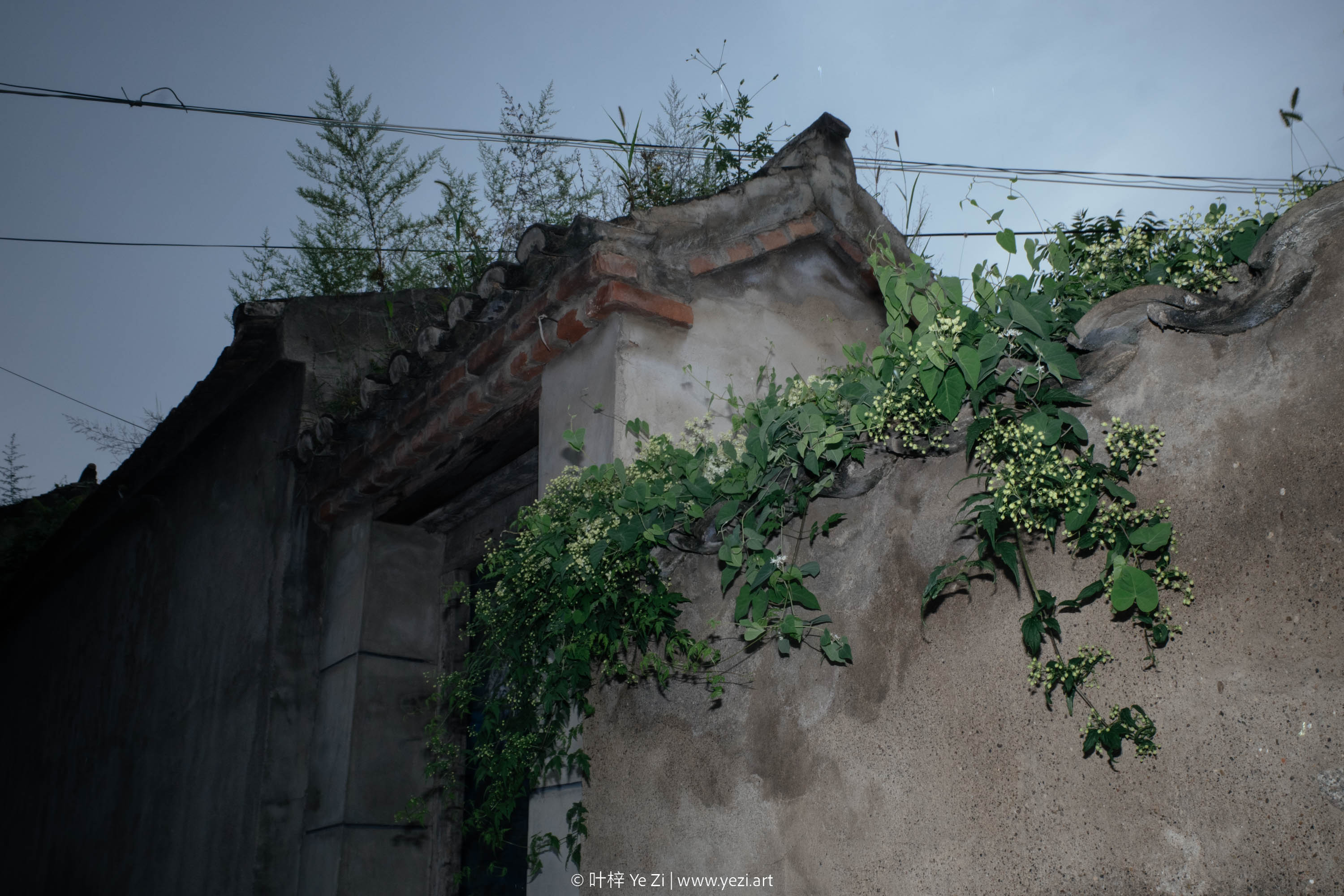 一起做个实验，看看你还能不能拍出“纯小白”的照片？