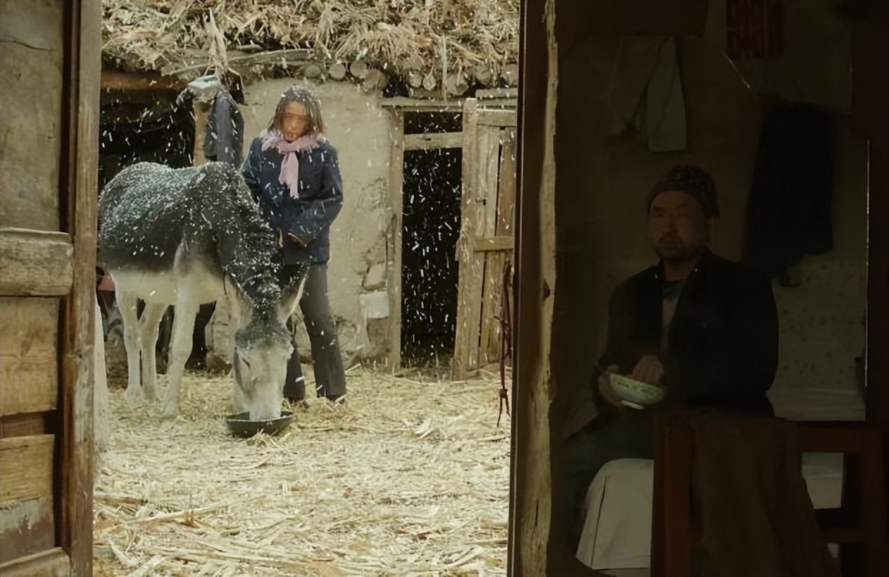 2022年中国电影票房排行榜,盘点2023年五部票房最高的电影