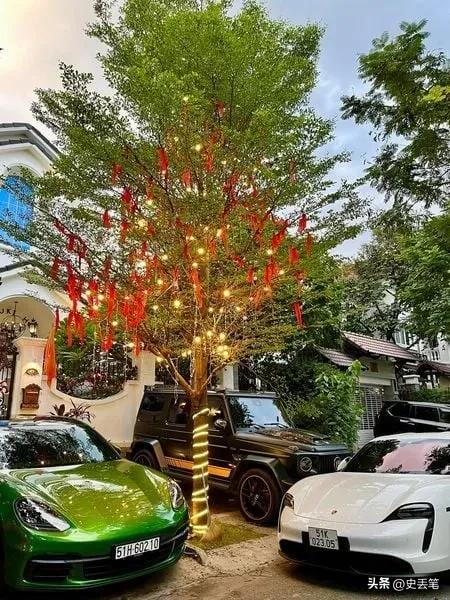 越南土豪极奢淫欲，有3个老婆、7位*妇情**，人称现代韦小宝