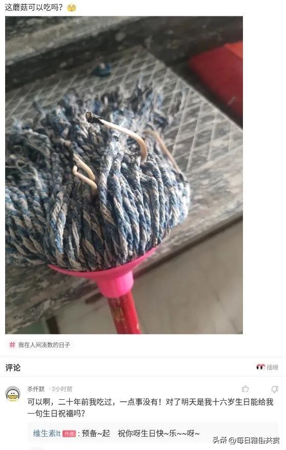 盐选神回复,盘点那些“盐选神回复”