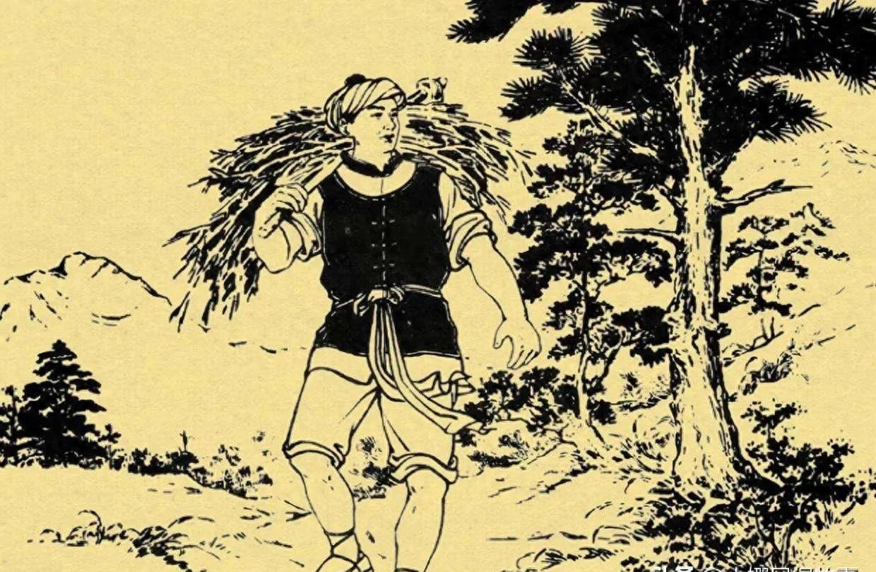 夜晚的回报：大鱼的预言让女子震惊！