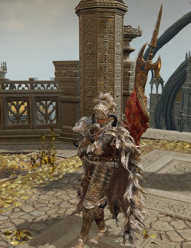 艾尔登法环属性最好的铠甲,艾尔登法环要交出孪生系列铠甲吗