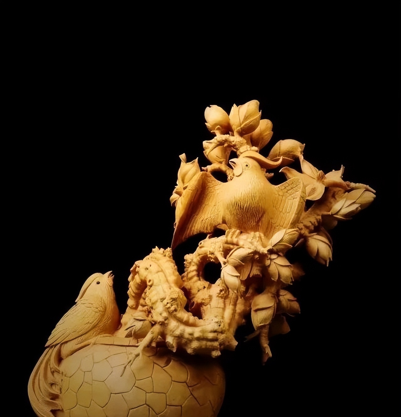 最好看的黄杨木,十种最好看的黄杨木