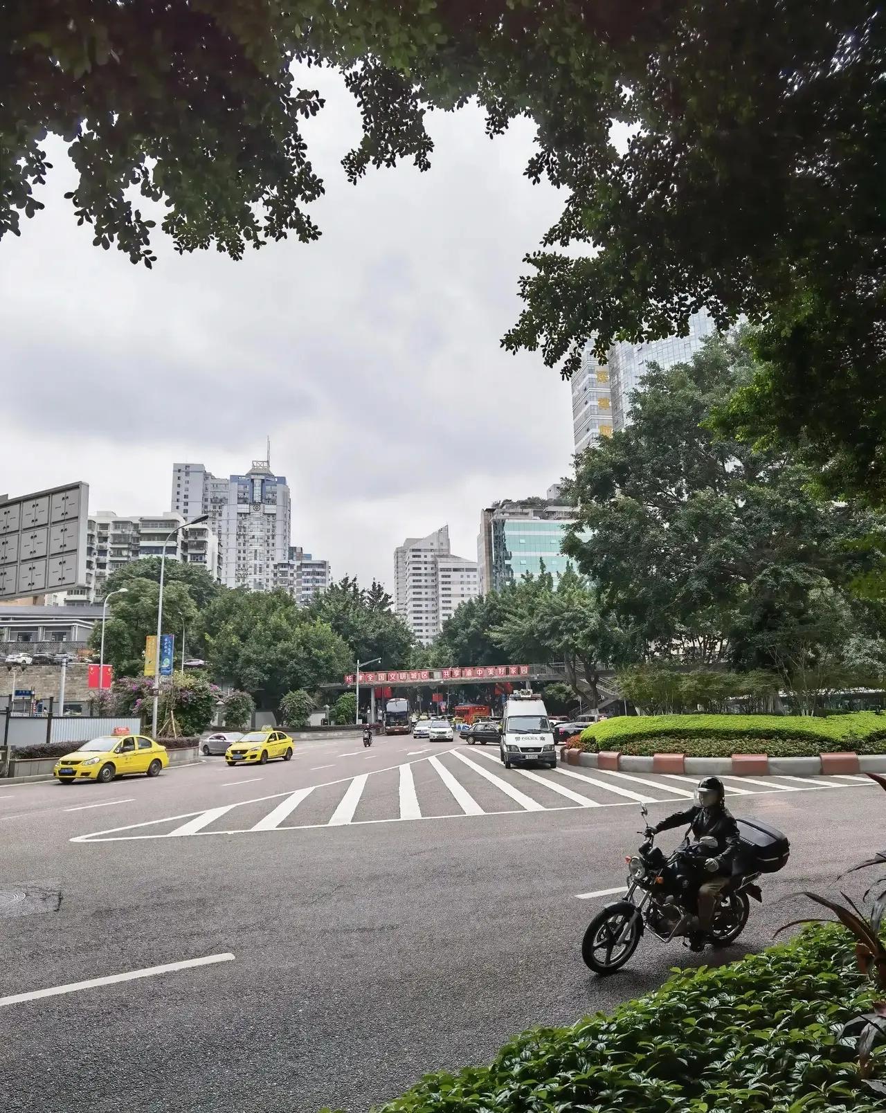 春游赏花登高赏景,春游赏花感受春天的气息
