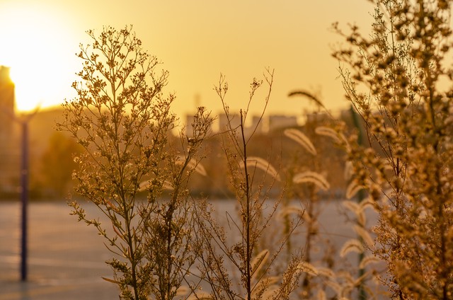十二星座探秘之旅,星座探秘双子座
