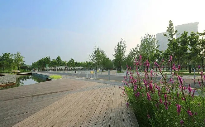 南京免费景点排行榜前十名,南京旅游年卡免费景点一览表