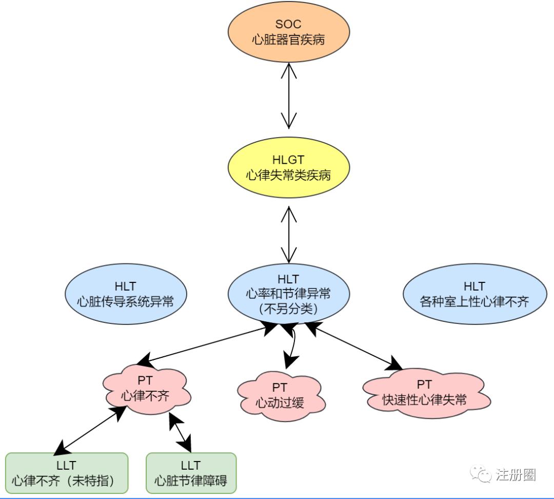 药物警戒中自发呈报系统数据库与MedDRA术语集