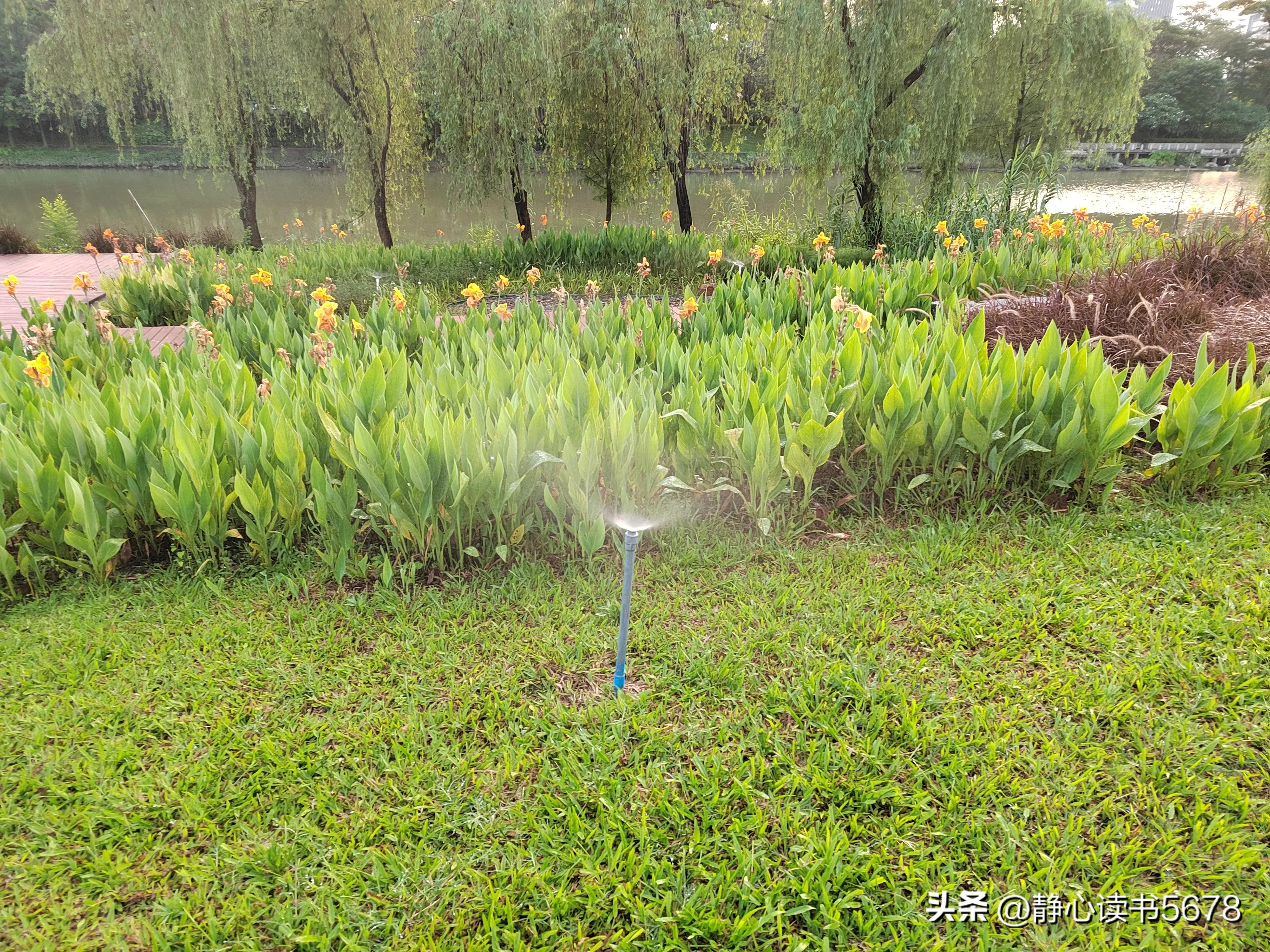 做一个好的生意经典语录,做生意最经典的一句话