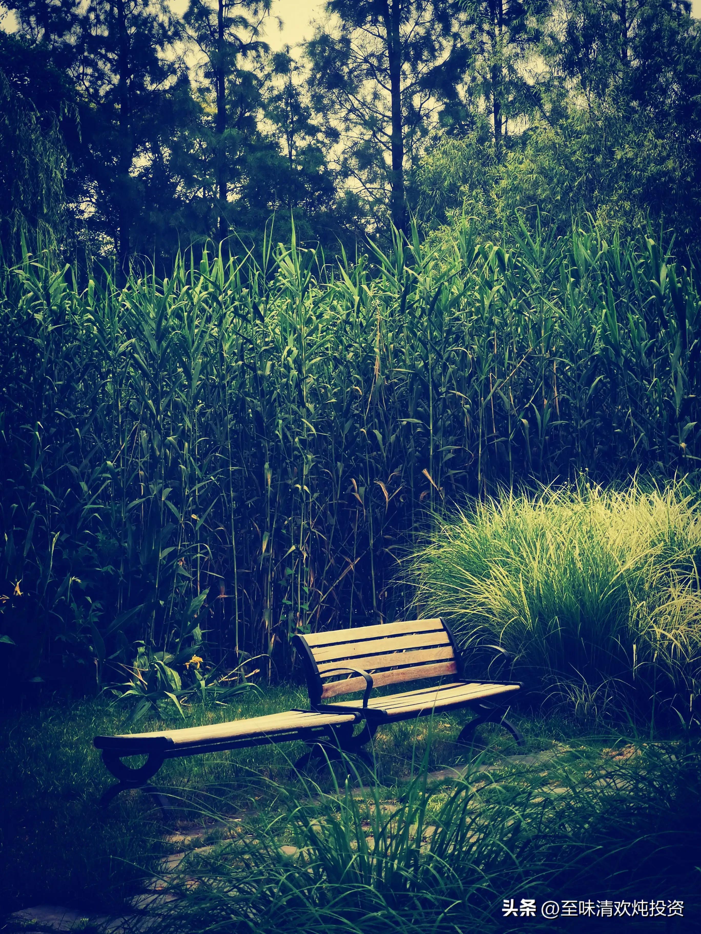 农业银行今年涨幅为何大,中国农业银行今日行业走势