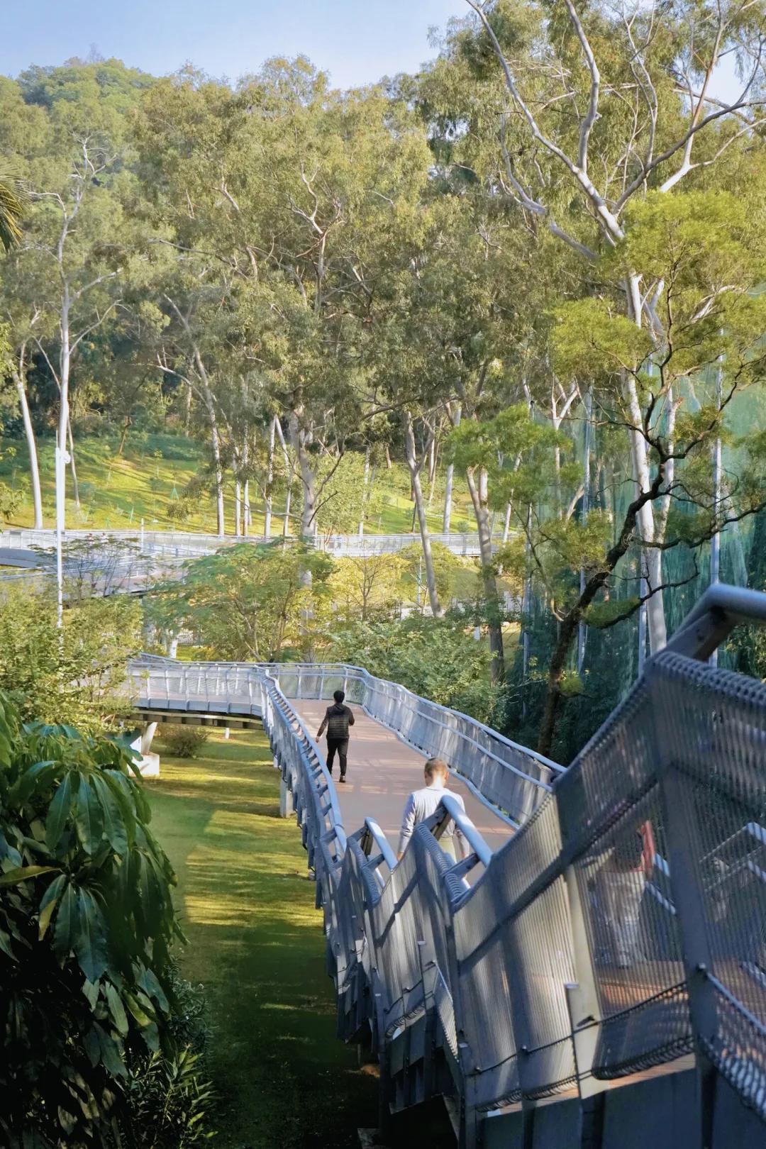 2021广州打卡必去的地方,广州必打卡的十个免费景点