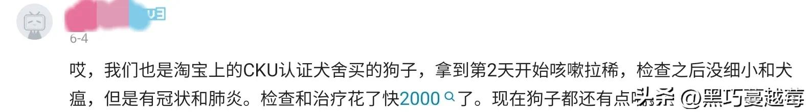 披星戴月来见你,披星戴月去见你