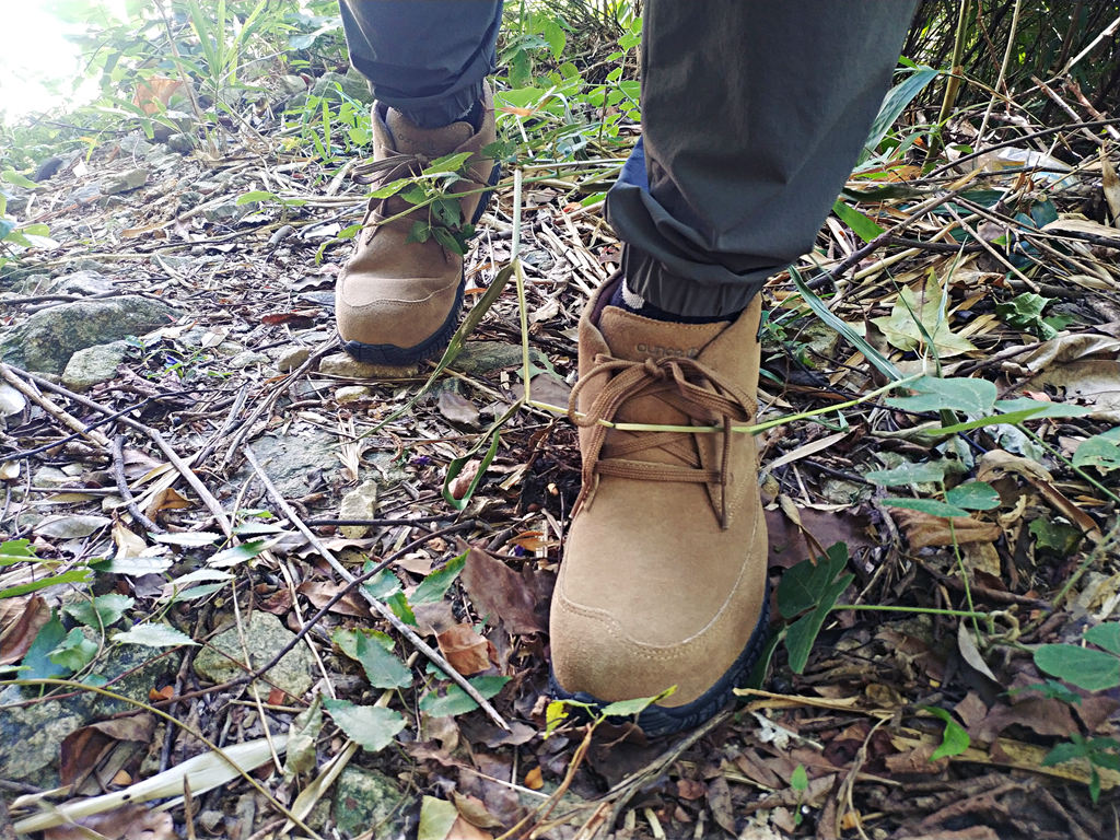 閬ㄦ父浠昹3鍜宭3n,閬ㄦ父浠曠櫥灞遍瀷l3鍜宭1