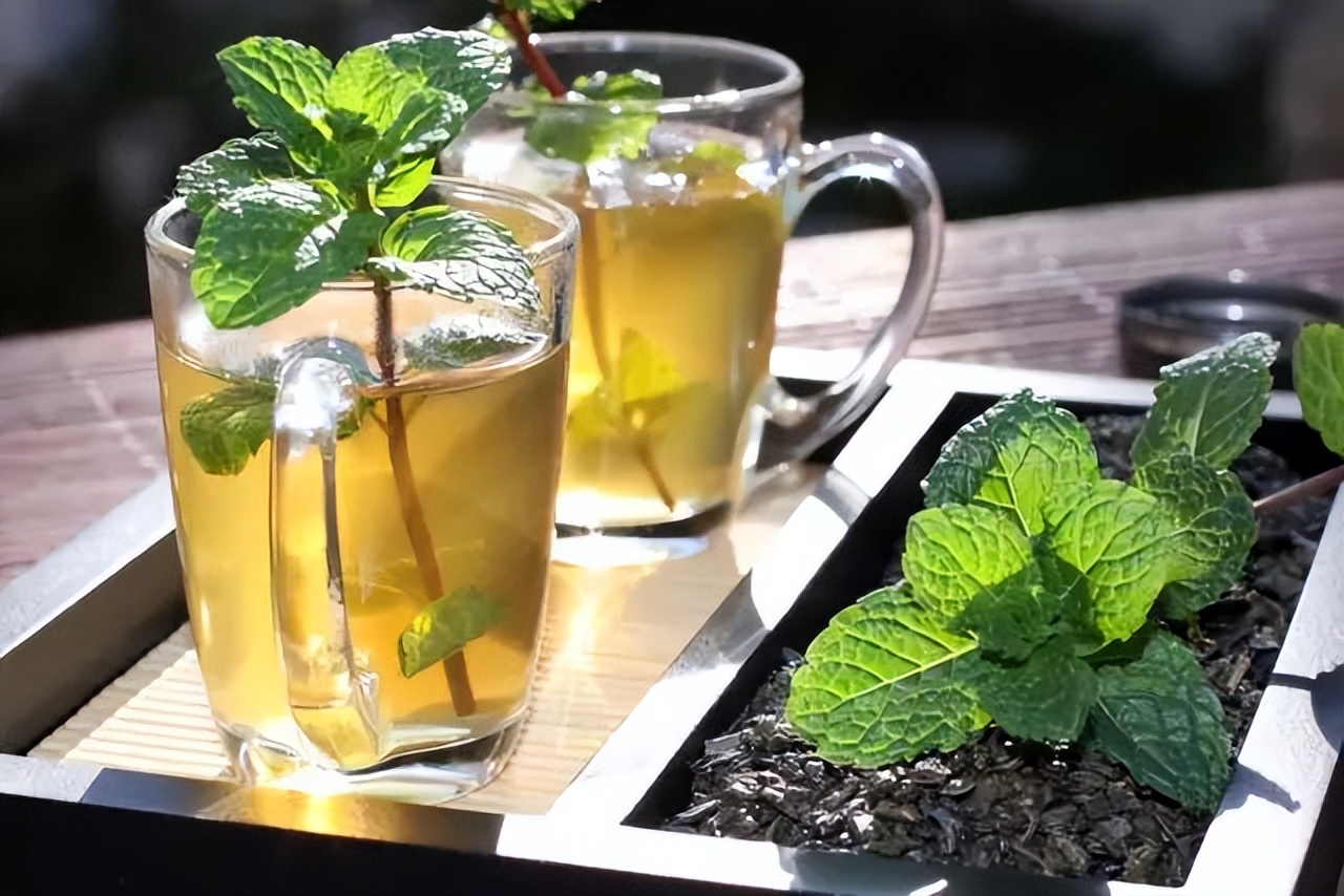 教你几招驱蚊技巧轻松赶跑蚊虫,夏天蚊子太烦人教驱蚊的绝招