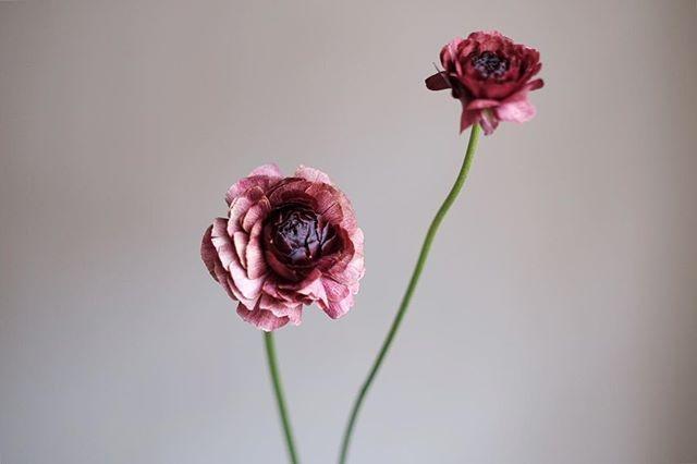 心灵鸡汤影响一生的心灵感悟,心灵鸡汤小说收藏榜