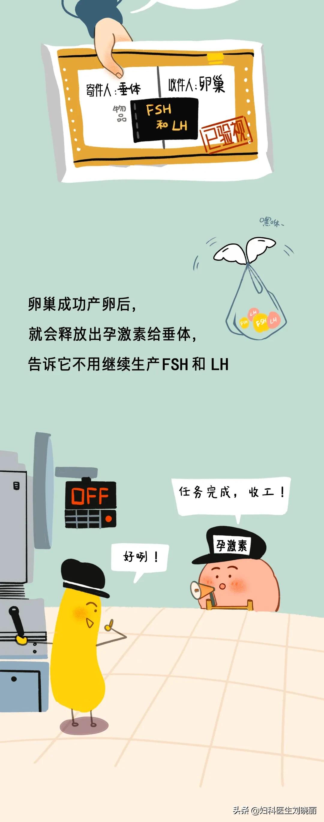 避孕药在身体内多久消化完,避孕药进体内24小时