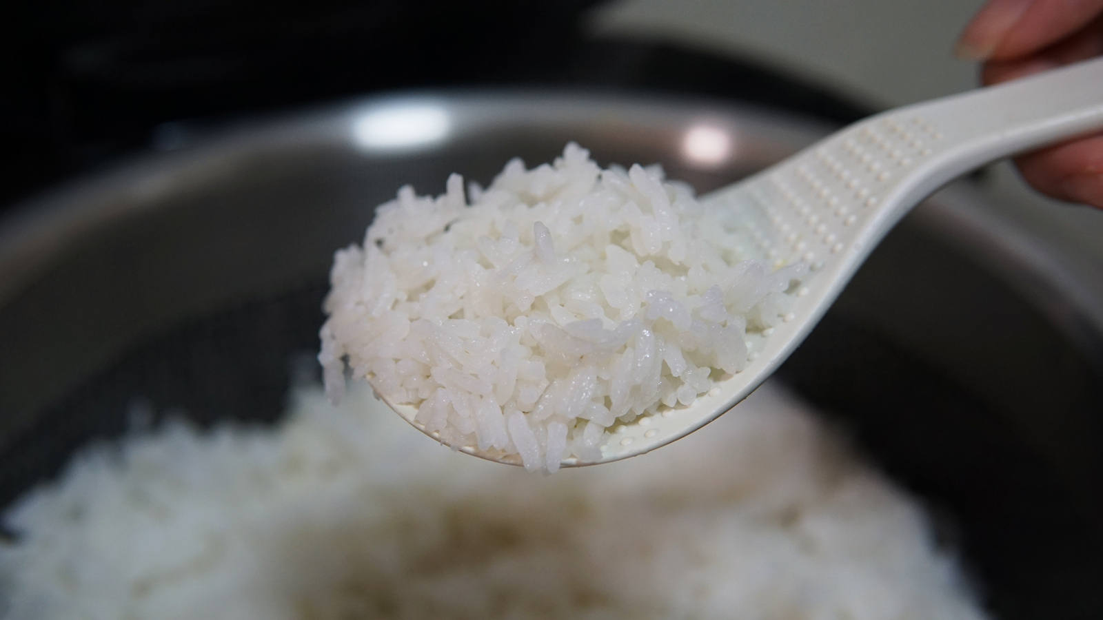 康巴赫ih电饭煲最新款,康巴赫蜂窝ih电饭煲