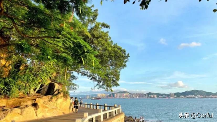 去厦门旅游攻略自由行三天两夜,厦门5日游行程攻略