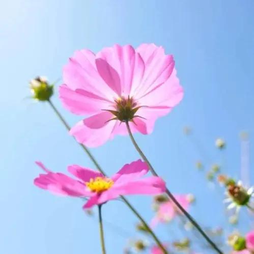 第一次买房和二次购房,买房碰上一个好邻居有多重要