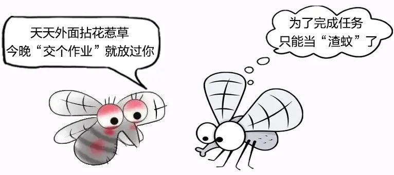 夏季常见蚊虫叮咬图鉴,女孩被家人吸血10年