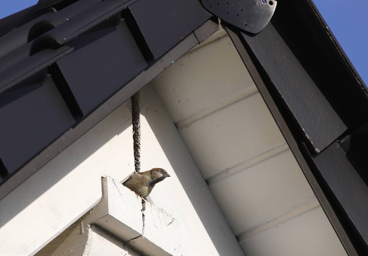 微信一句话个性签名静心句子,微信个性签名短句干净努力正能量