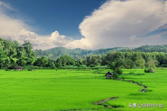 一个县委书记的临别感言,一个县委书记的日常生活