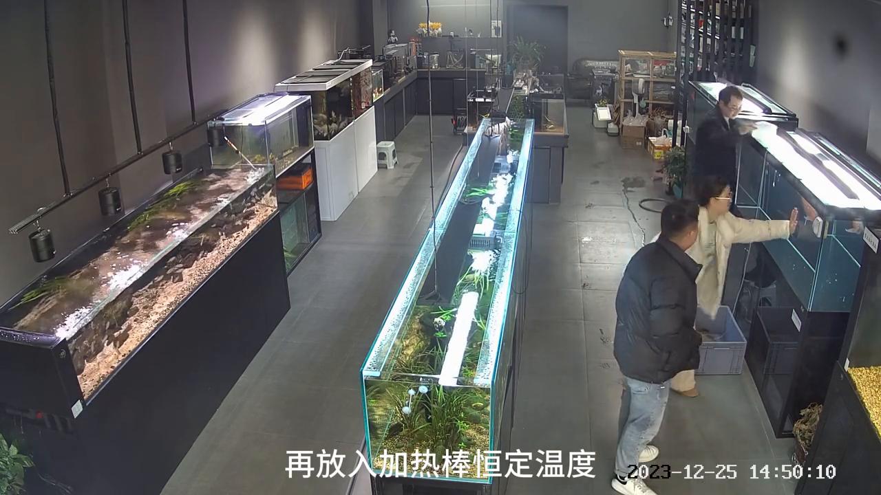 加热棒损坏导致鱼缸受损怎么赔,鱼缸加热棒故障维修视频