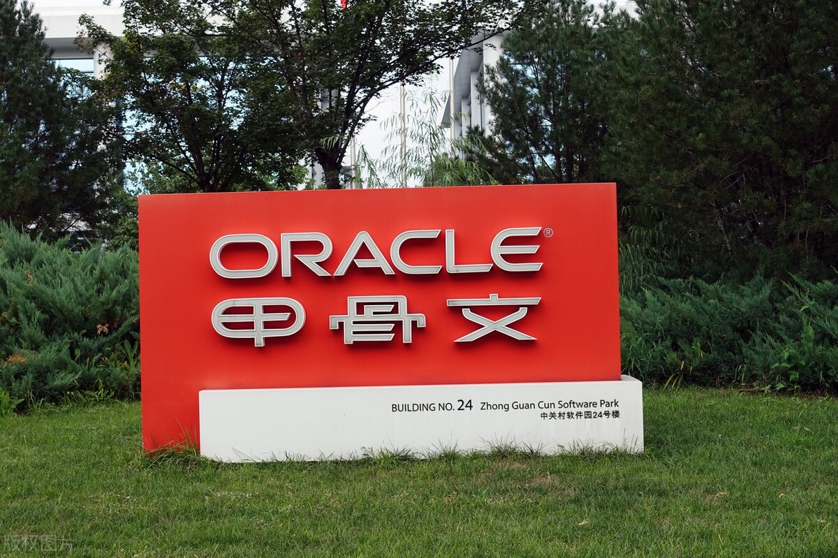 甲骨文老板埃里森身价,甲骨文老板埃里森失败者