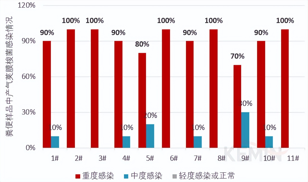蛋鸡葡萄球菌感染症状,产气荚膜梭菌的感染条件