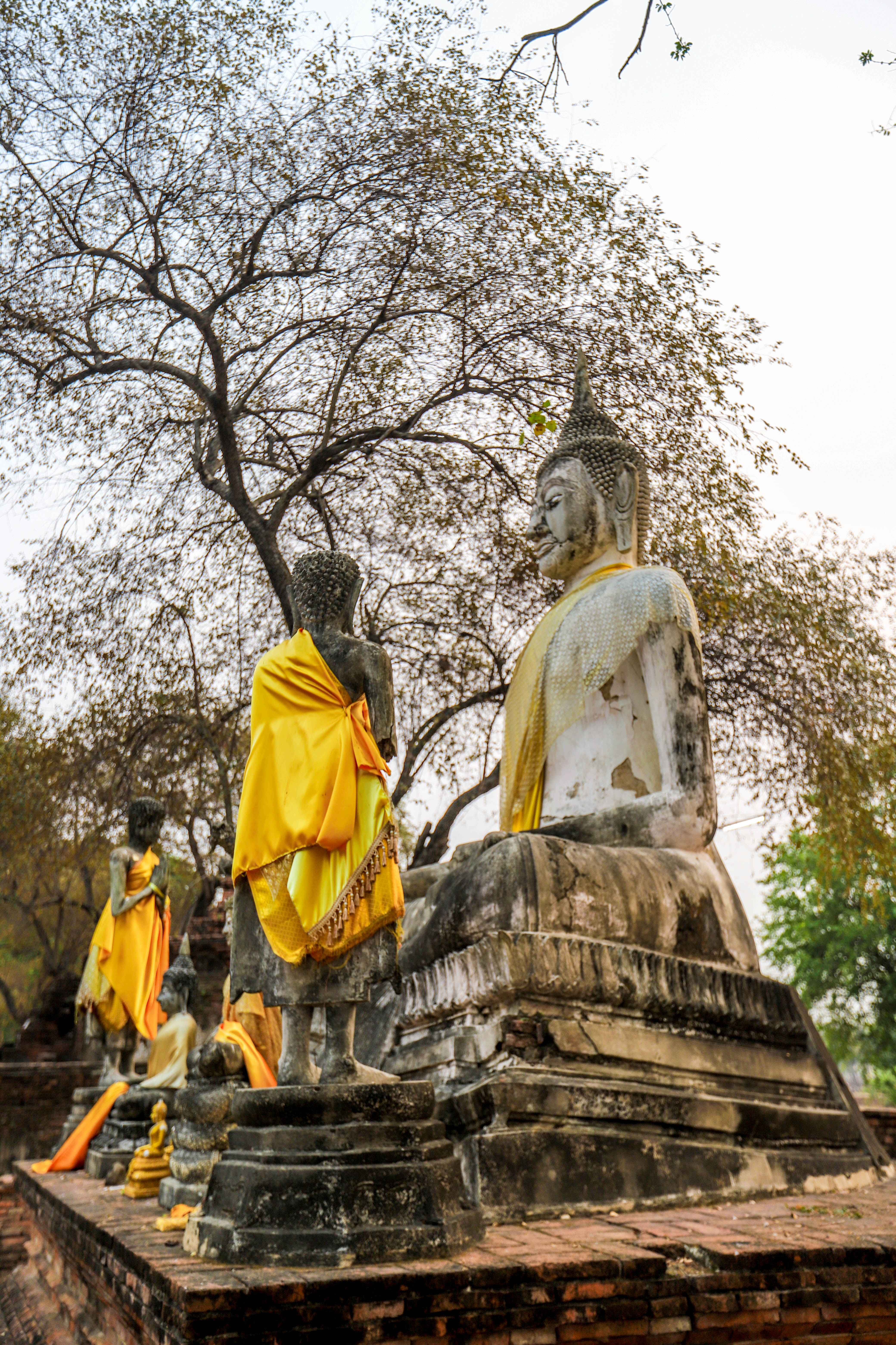 泰国自由行租摩托,泰国大城府租摩托车