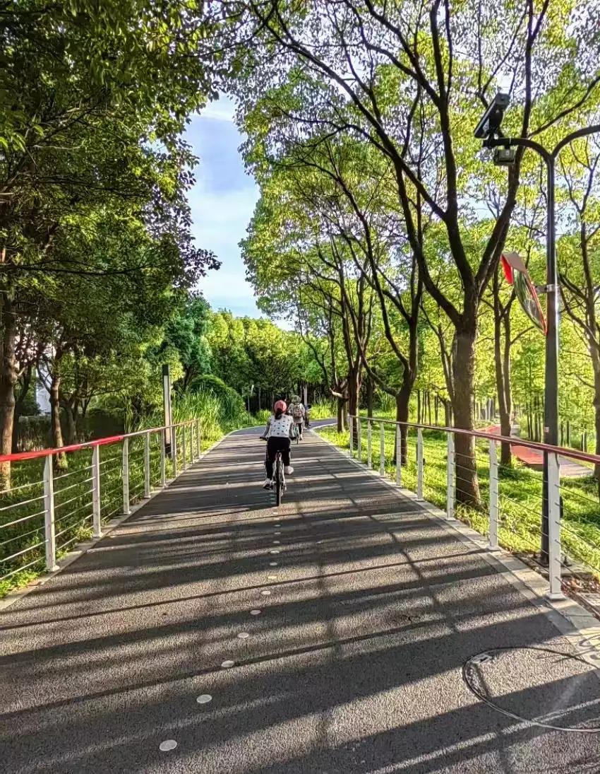 上海浦西滨江骑行攻略,上海休闲路线