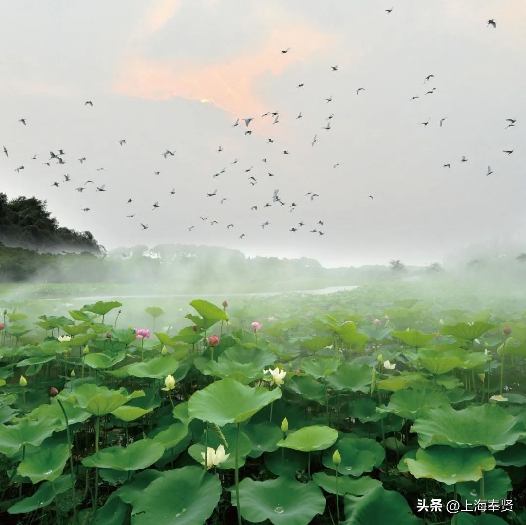 休憩一夏，趣味海湾