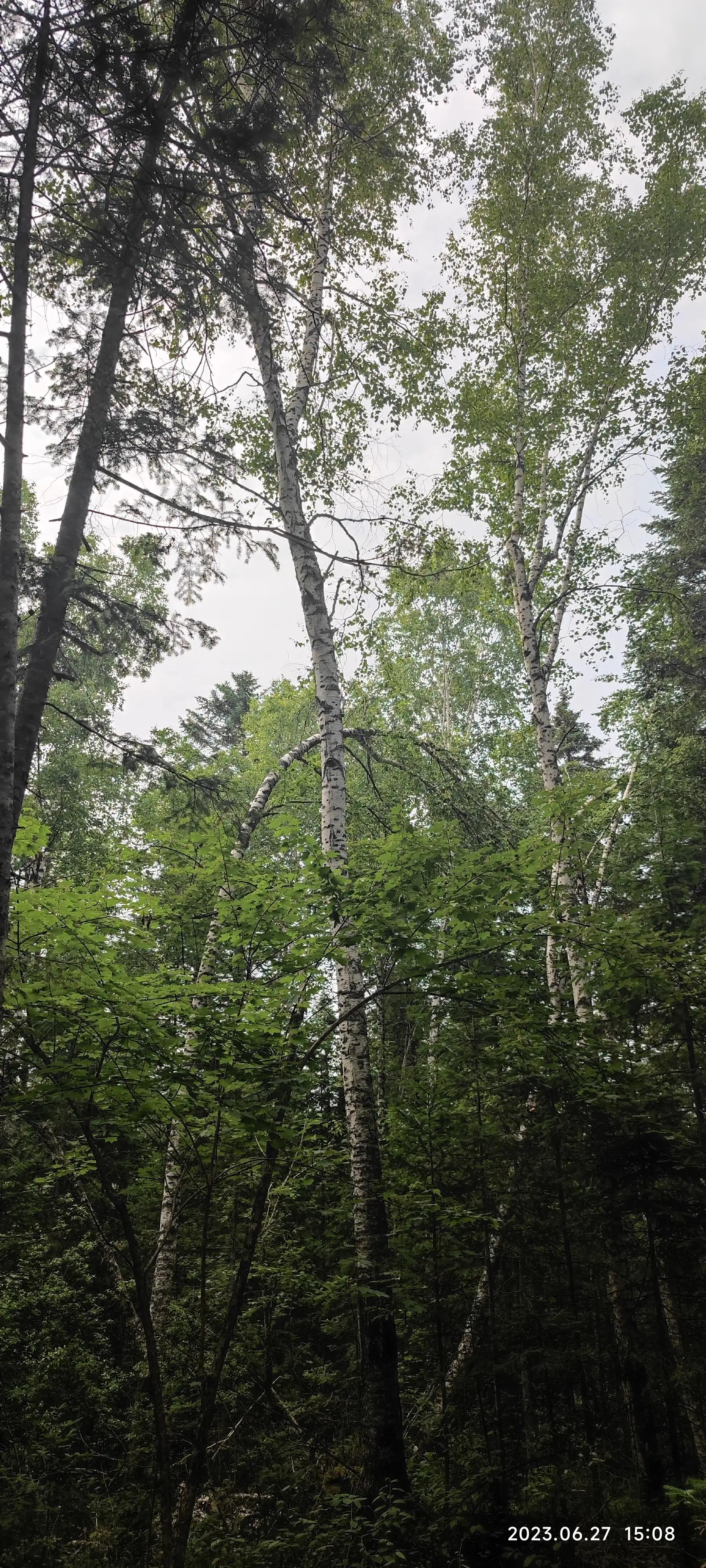 世界山水最美的景色视频,探寻这世界上最美的风景