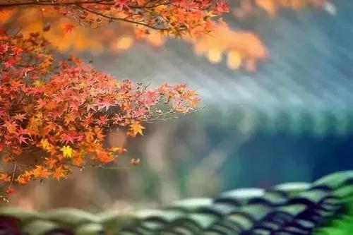 信任带来温暖作文,信任是最重要的作文