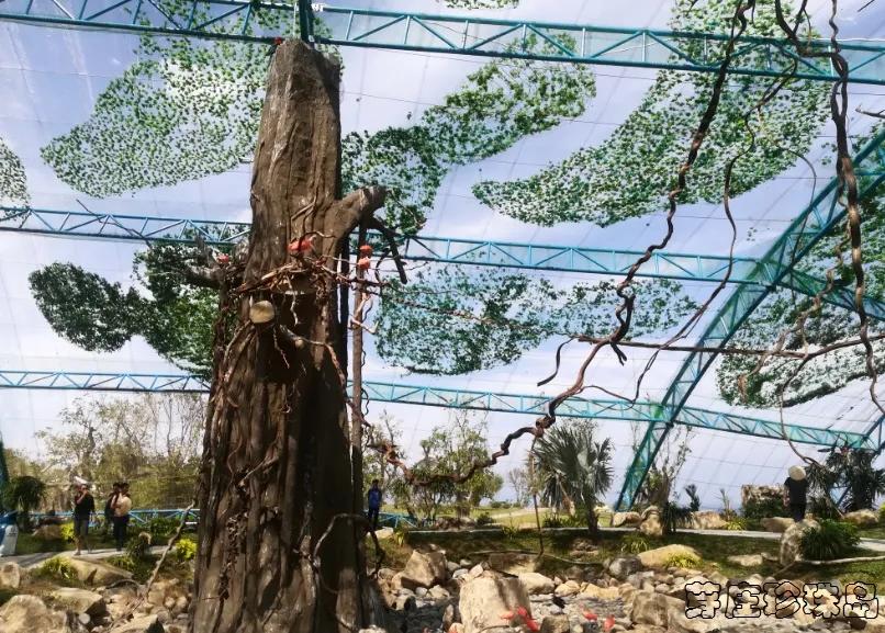 越南芽庄5晚6天观光游 (越南越美醉美芽庄5天品质之旅)