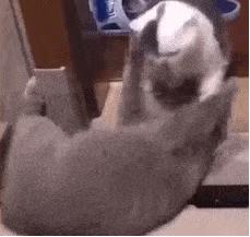 神回复：把大众车标扣下来清灰，里面藏了一个圆球，这是个啥？