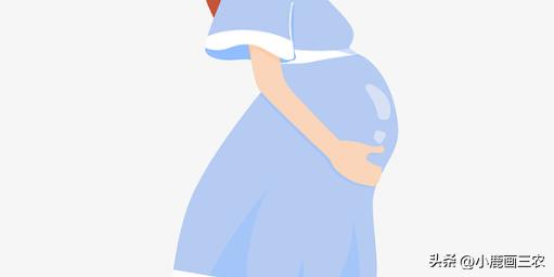 春节老家不上坟有什么讲究,过春节上坟十大禁忌