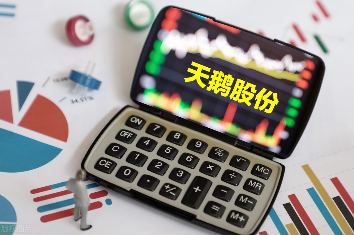 A股：天鹅股份的大股东是谁？三季度业绩怎么样？