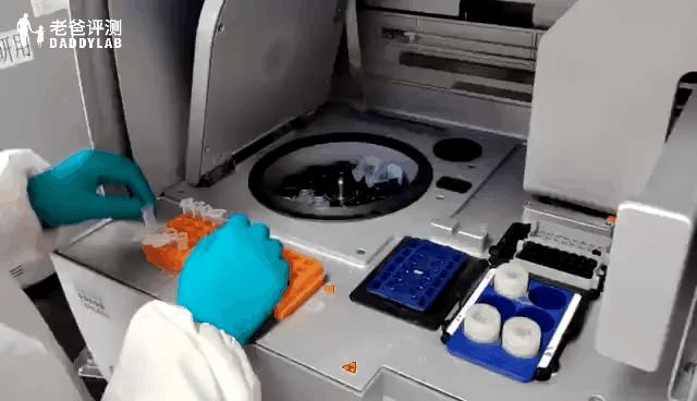 鸡血鸭血猪血牛血分别有什么作用,鸡血鸭血怎么做出来的