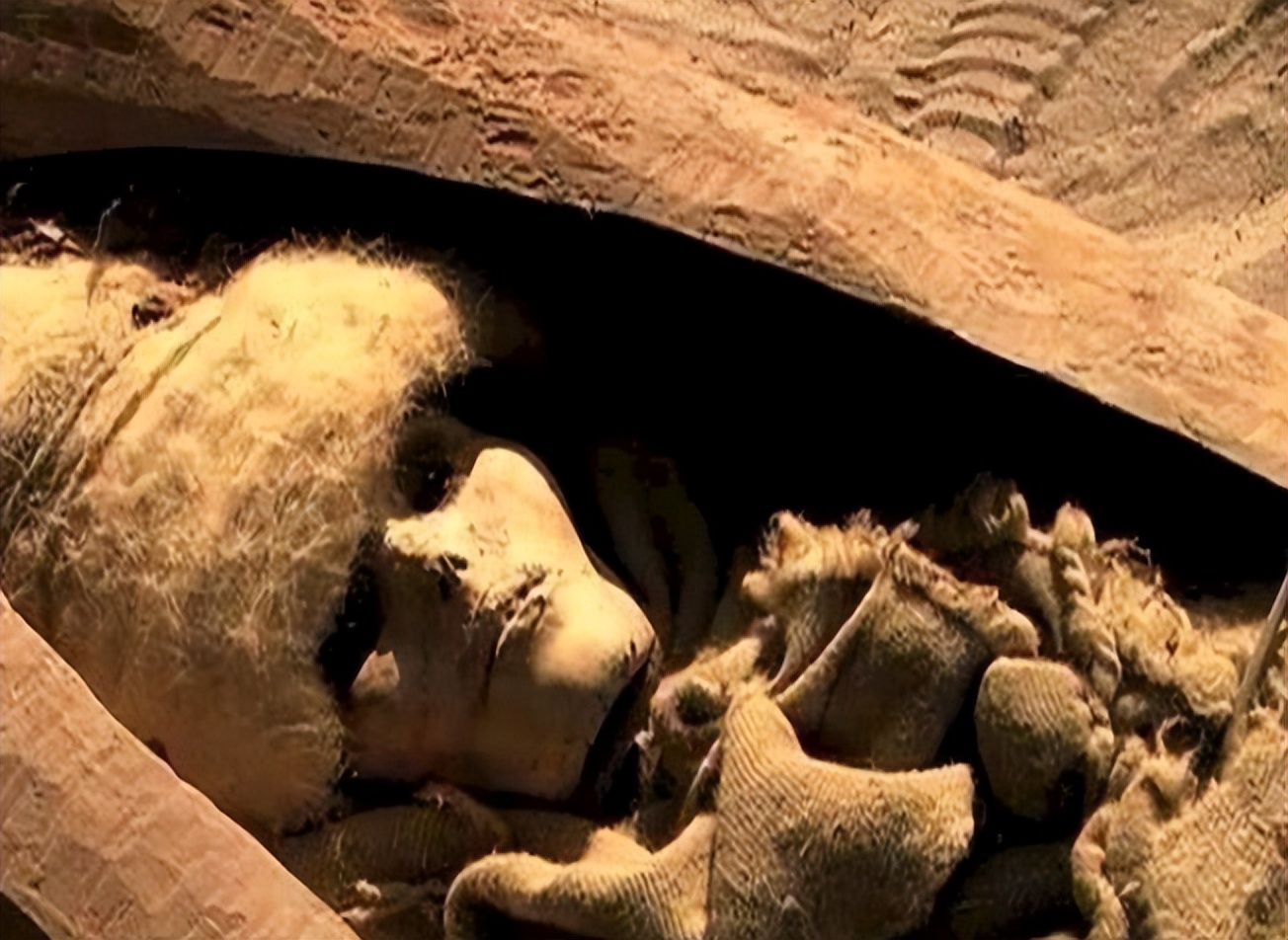 古墓被盗盗墓贼,楼兰古墓被盗案