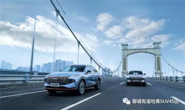 哈弗神兽集中交车--聊城有道站