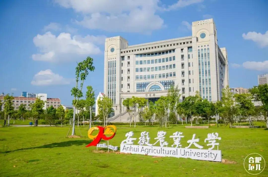 安徽一本线多60分报考什么学校好,安徽一本线下几分的大学推荐