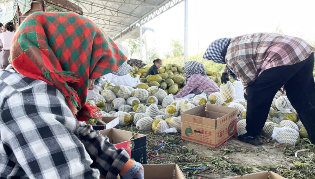 水岸明珠开业大吉,水岸明珠浠水店专场直播