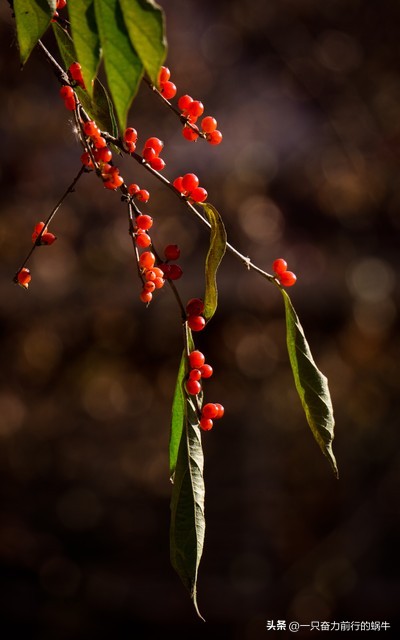 你想怎么样呢搞笑录音,你想怎么样啊原视频