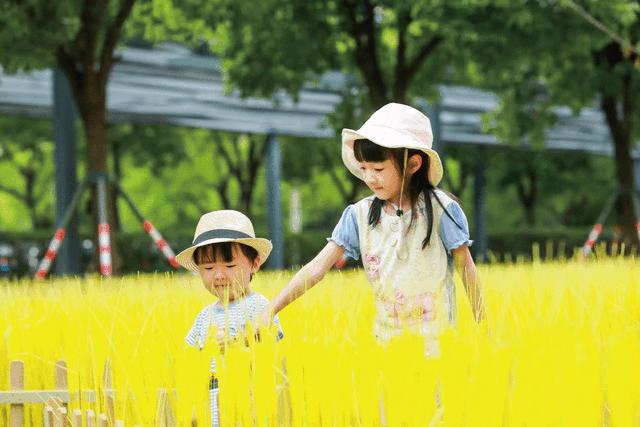 露营围炉煮茶周末旅游经济出新招,户外露营围炉煮茶需多大投资