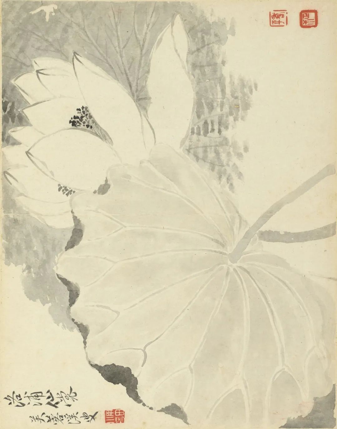 慕容看世界的视频,慕容看世界所有视频