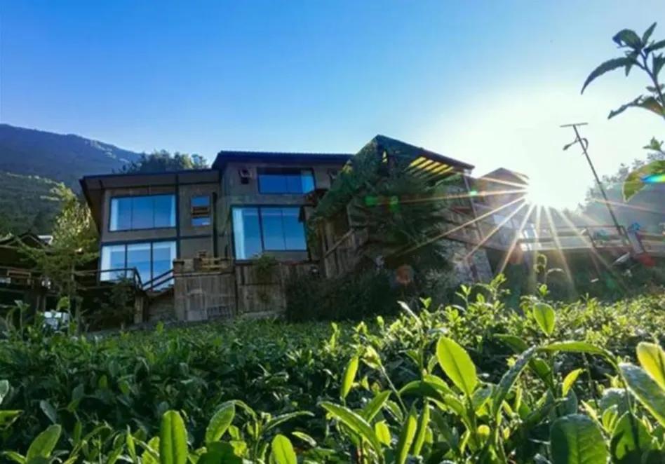 神农架上的民宿,神农架风景民宿推荐